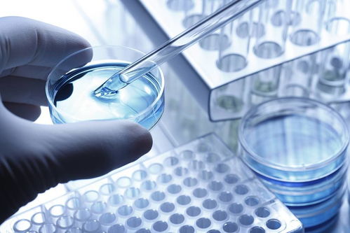 上海生物醫藥產業將迎政策大禮包，企業研發創新與技術推廣成重點