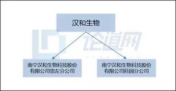 漢和生物 以生物技術創新驅動水溶肥料市場新藍海